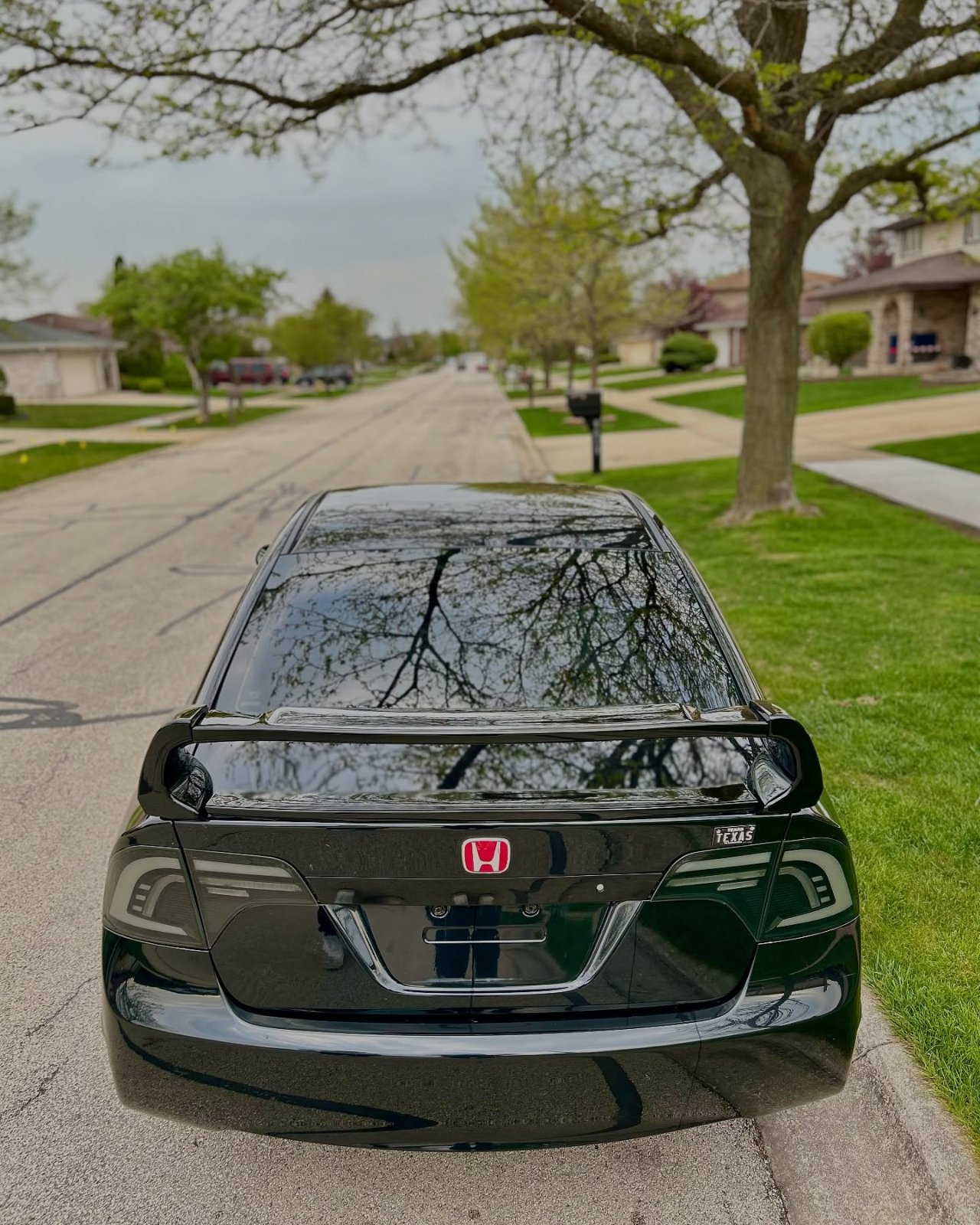 Gloss-wrapped Honda Civic parked on the street